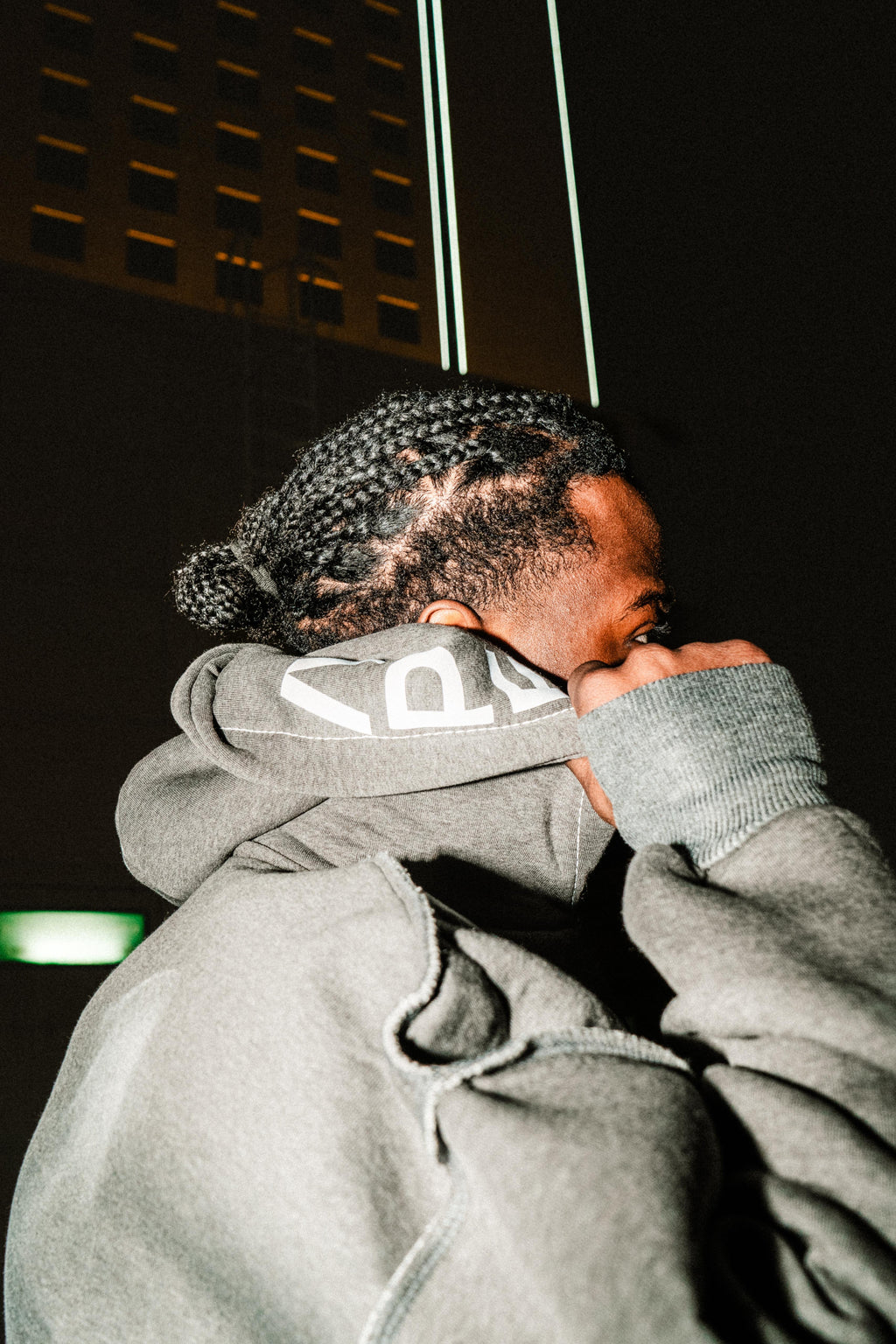 Ape inside out hoodie